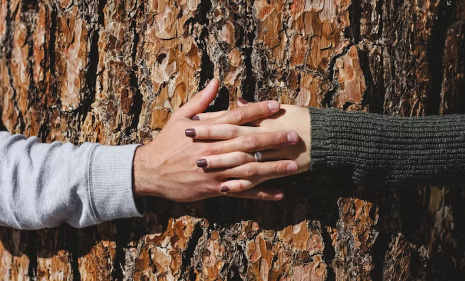 Sustainable Style: The New Luxury
